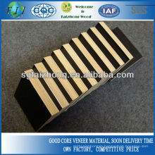 Good Film Faced Plywood Concrete Panel